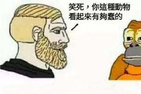 哈哈哈用什么代替