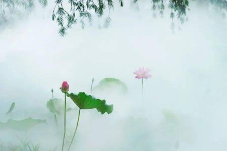 仙气缭绕的意思是什么
