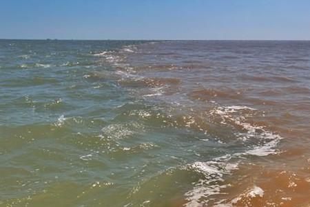 黄河水入海吗