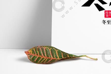 想吃饺子的幽默句子