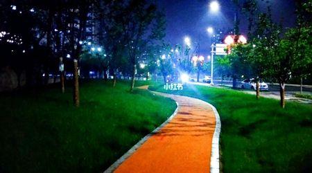 夜色真撩人的歌词