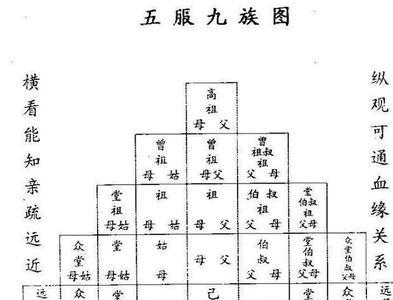 亲姑舅表兄妹有多少血缘
