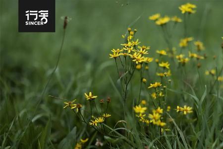 永无已的意思