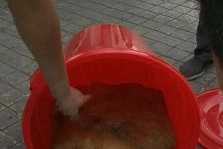 什么生物能把肉变成腐肉