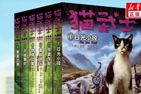 月光武士这本书适合青少年看吗