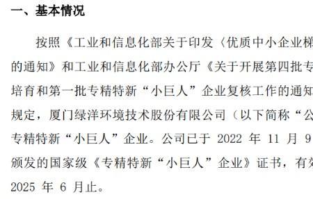 斐乐专精特新小巨人认定条件