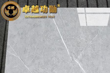 伊丽莎通体瓷砖几线品牌