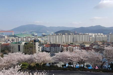 韩国巨济市旅游景点