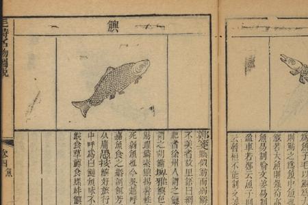 金枪鱼小说是be还是he