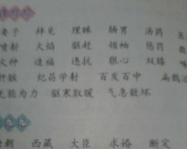 类似红的像火的词语，还有哪些