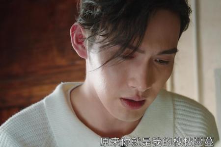 然然和家栋大结局