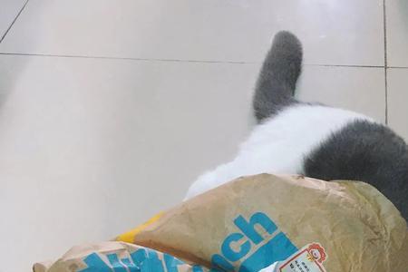 向往的生活七猫推荐的小说