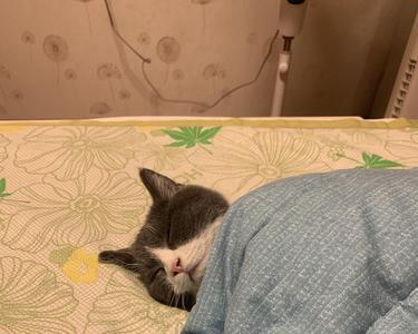 一个人盖一个被子什么意思