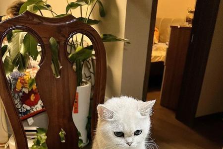 馋银儿什么意思