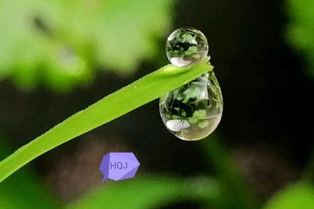 小水珠还会去哪里