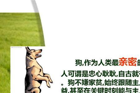 表示忠心的句子