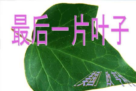 什么的叶子填合适词语