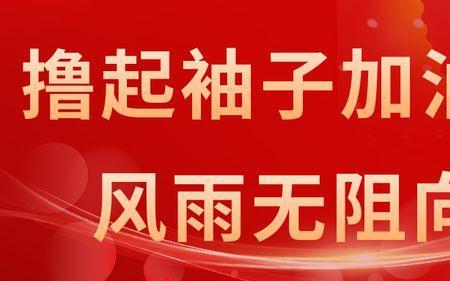 大局意识和责任担当意识不够强