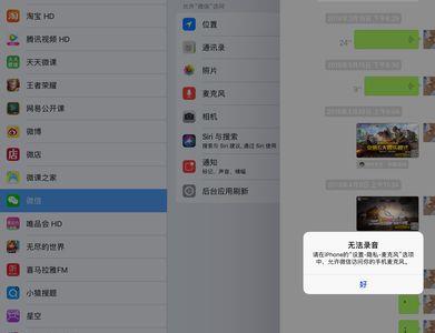 ipad没有麦克风设置