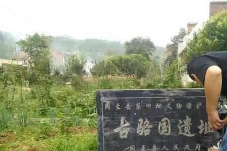 陕西仵姓怎么来的