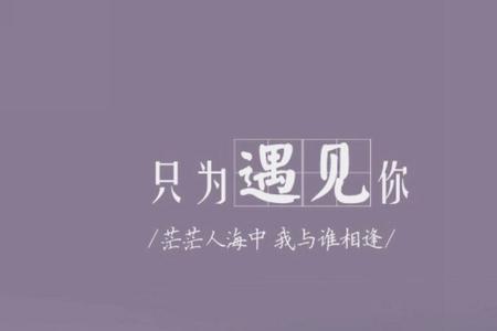 漫漫人海中我遇见了你什么歌