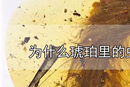 把人封在树脂里会腐烂吗