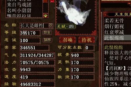 大话血召唤兽带什么装备技能