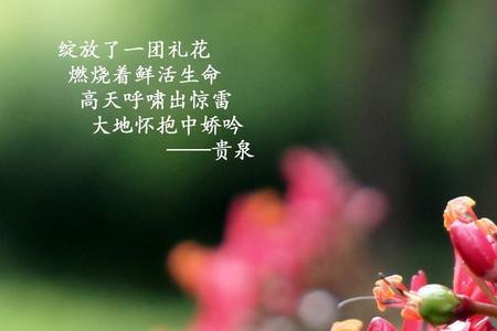 鲜活的生命什么意思