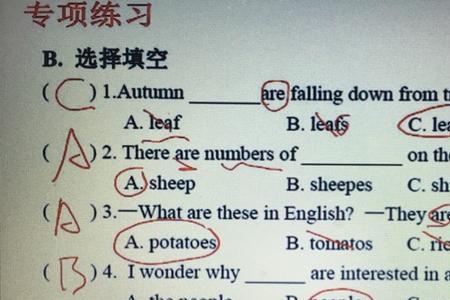 thereis加可数还是不可数