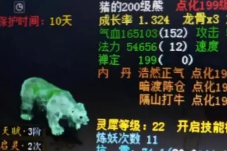 大话西游内丹效果