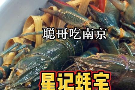 一亩养殖澳洲蓝龙要放多少苗