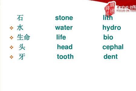dent是什么词根