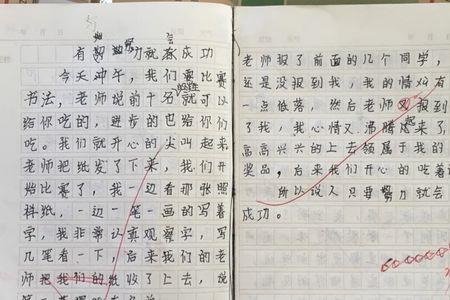 有志者的意思是什么四年级