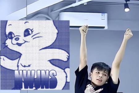 mewjeans成员