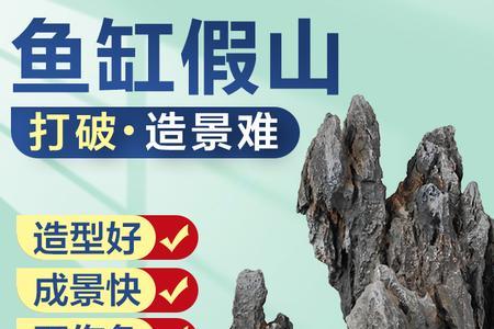鱼缸造景石头摆法图片