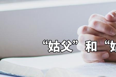 姑父和姑母的辈分