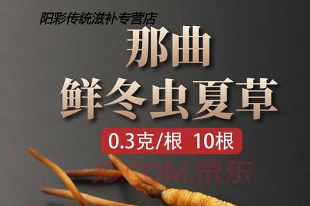 冬虫是吃鲜的还是干的