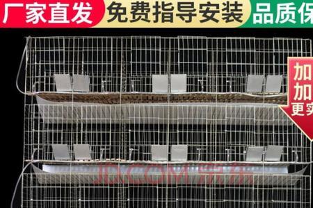 兔子放在笼子里，为什么会死
