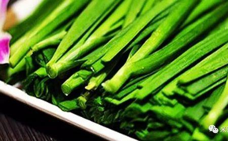 韭菜一窝好还是一排好