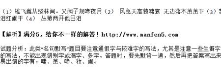 但见悲鸟号古木的号是什么意思