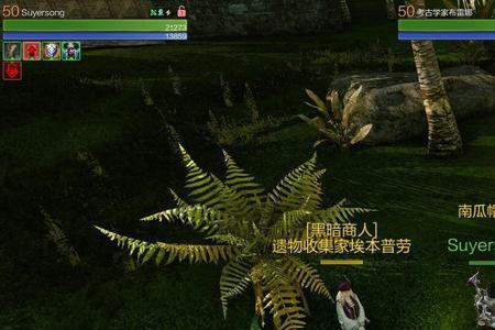 南瓜海贼团怎么回事