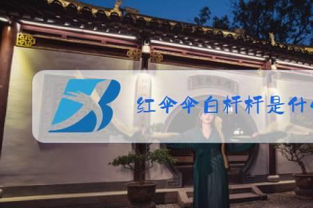 红伞伞白杆杆原唱完整版男声