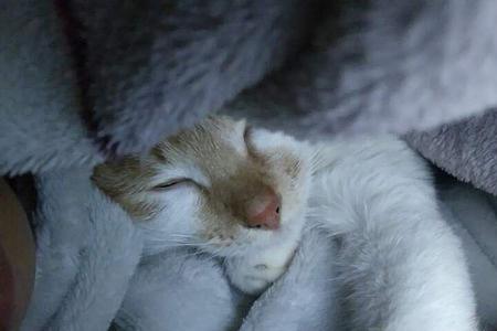女孩好冷想冬眠怎么回复