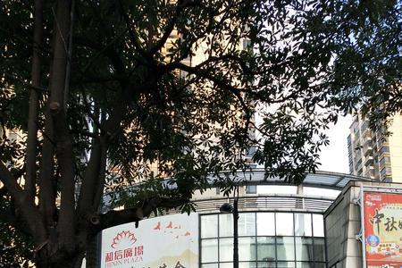 海口大润发营业时间