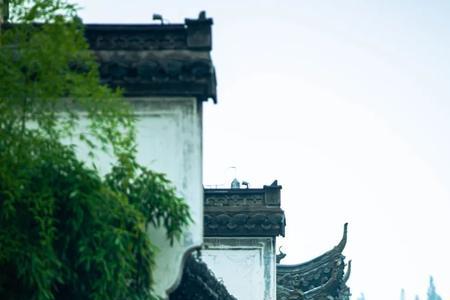 半城烟雨半城风是谁的
