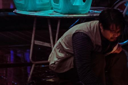 小白鸽为什么被杀