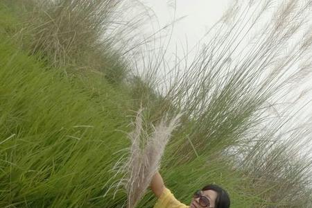 飘飘荡荡什么意思