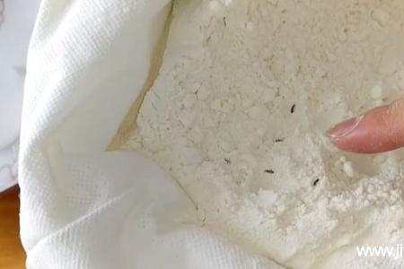 面粉生虫了能放进微波炉除虫吗