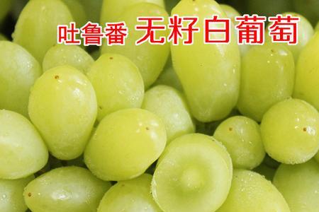青提和白葡萄有区别吗图片