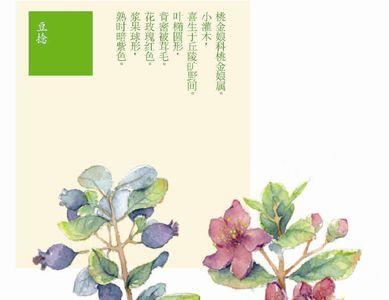 枝枝蔓蔓成语的意思